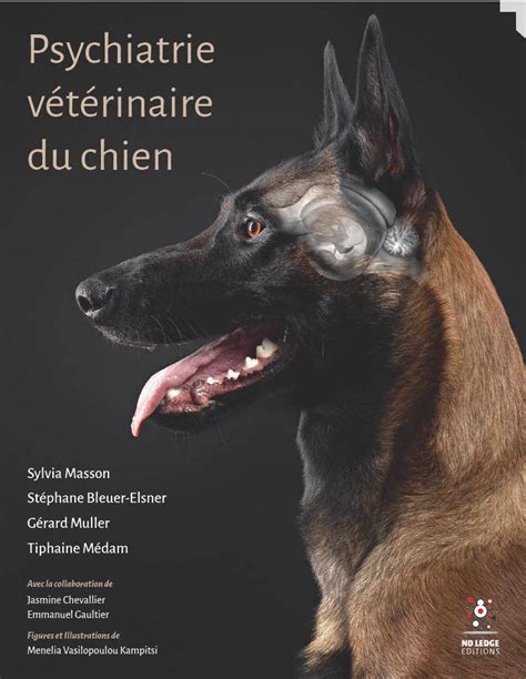 Livre Psychiatrie V T Rinaire Du Chien Sylvia Masson