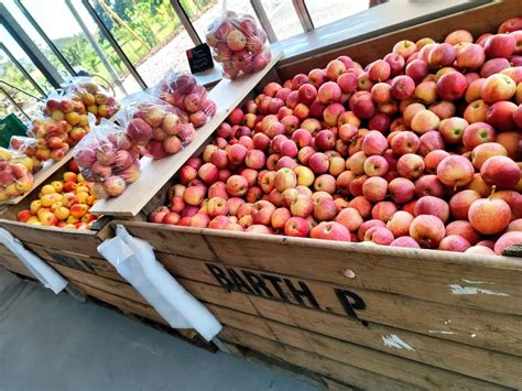 Accueil Le Panier De La Ferme Barth