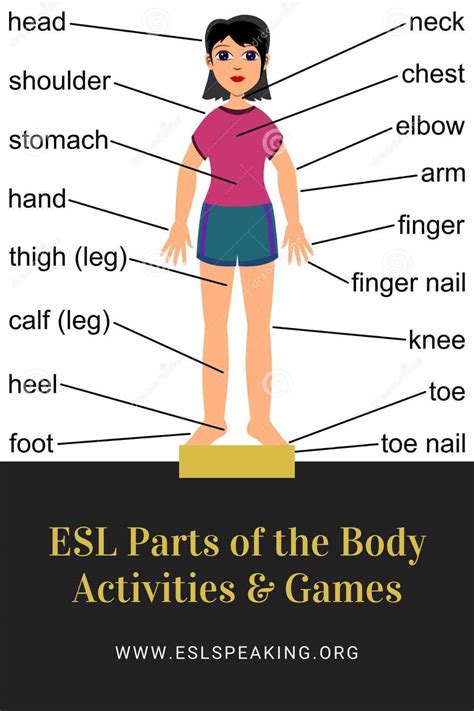 Body Parts ESL Games, Activities, Lesson Plans | Parts of the Body