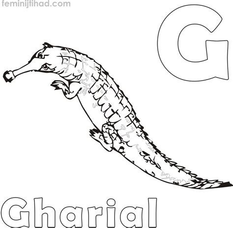 Gharial Crocodile Coloring Page