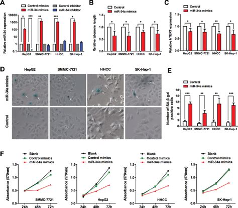 Mir 34a Induces Senescence Associated Growth Arrest In Liver Cancer