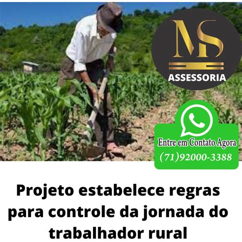 Msassessoria Projeto Estabelece Regras Para Controle Da Jornada Do