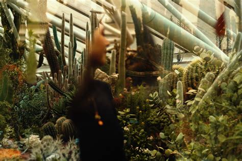 At The Barbican Conservatory on Behance