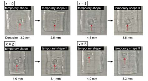 Advancing Tissue Engineering With Shape Memory Hydrogels