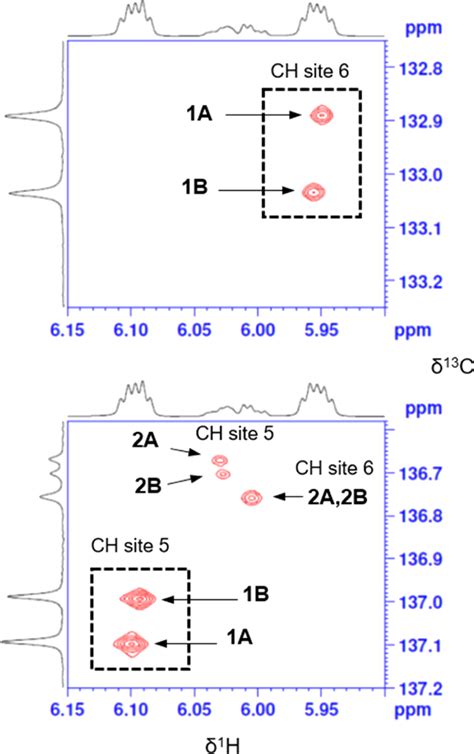 Olefinic Regions Of The Pure Shift Hsqc Spectrum Of A Sample Of Nbga Download Scientific