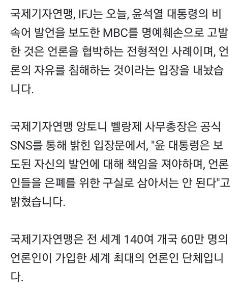 국제기자연맹 명예훼손 고발은 전형적인 협박 언론자유 침해 정치시사 에펨코리아