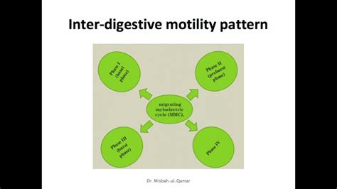 Lecture Of Dr Misbah Ul Qamar For 2nd Year Mbbs On Topic Movments Of