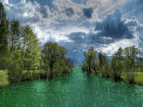 Bosque Con Lluvia Animados Imágenes Imagenes Bonitas