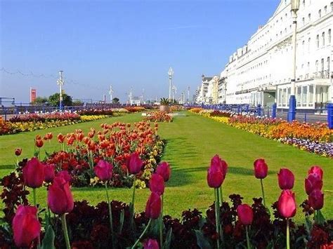 Editor Picks: Seafront Hotels in Eastbourne, England