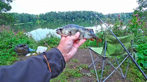 Алексеевский пруд. Балашиха. Лещ на спиннинг. Архивная рыбалка 2019 ...