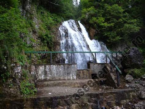 Traseu Din Poiana Tapului Spre Cascada Urlatoarea Si Busteni Muntii