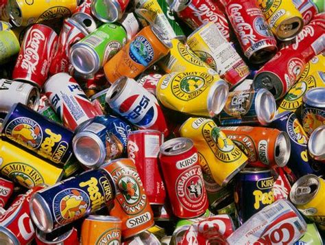 "Recycling Metal Cans the Right Way: A Comprehensive Guide" - The Tech ...