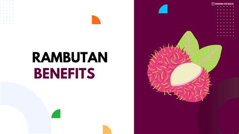 11 Benefits Of Rambutan May Improve Your Overall Health - Working for ...