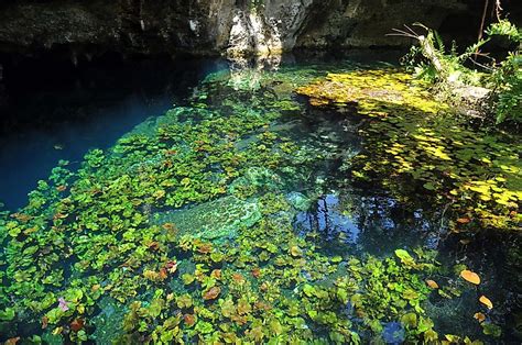 The Longest Caves In The World Worldatlas