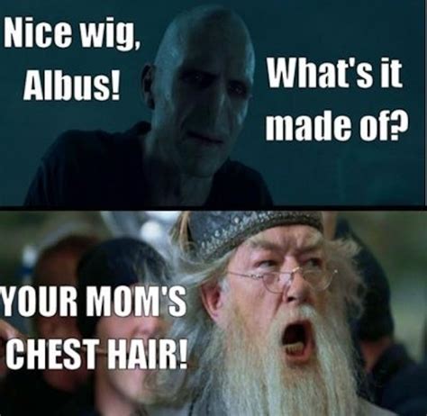 25 Of The Most Hilarious Harry Potter Memes Inverse