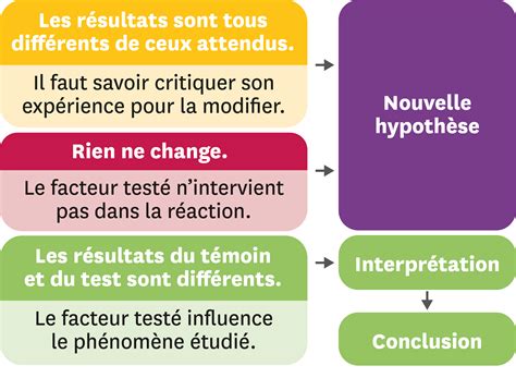 Interpréter des résultats et en tirer des conclusions