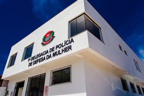 A importância do setor de psicologia na Delegacia da Mulher e