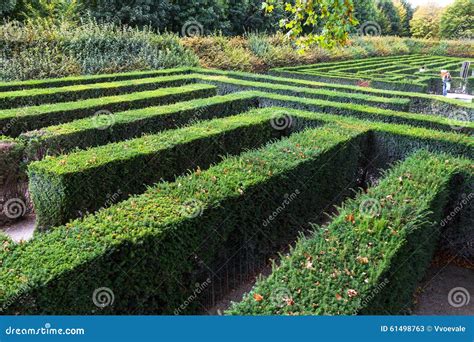 Green Maze of Schonbrunn Palace Garden, Vienna Stock Image - Image of ...