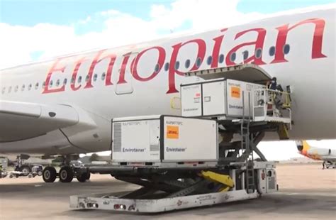 Ethiopian Airlines transports more than one million COVID-19 vaccine doses from Beijing to ...