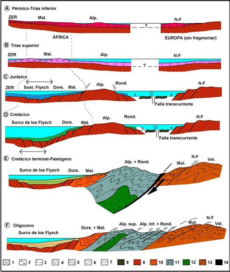 5 Evolución sedimentaria y tectónica de la Zona Interna 1 Facies