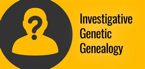 Investigative Genetic Genealogy How Does It Work