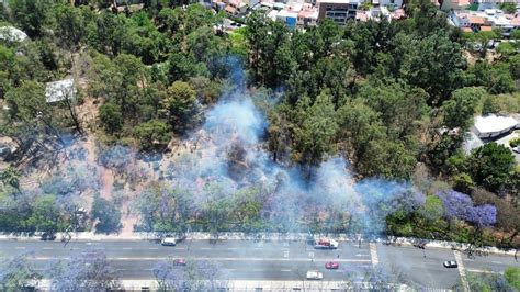 Zapopan Detienen Al Segundo Hombre Provocando Un Incendio Forestal En