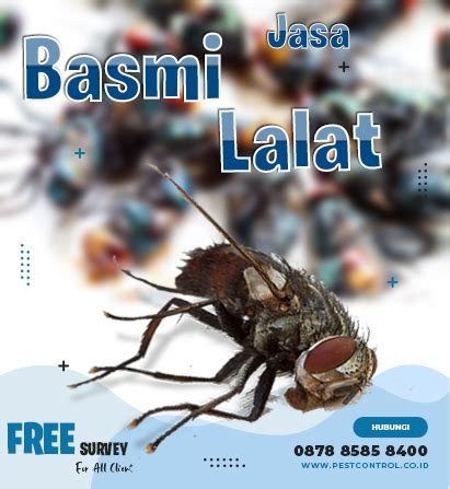 Jasa Pengendalian Hama Pest Control Anti Rayap