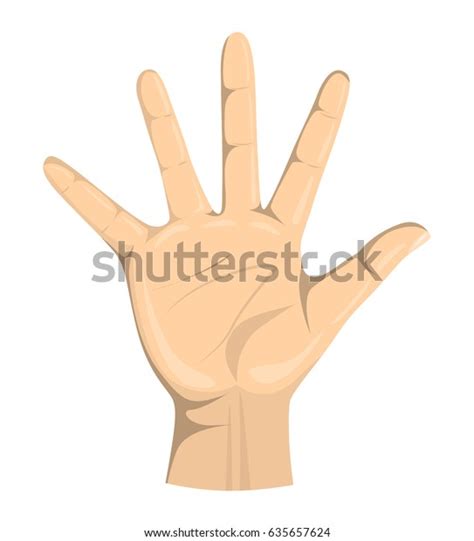 Isolated Hand Palm On White Background เวกเตอร์สต็อก ปลอดค่าลิขสิทธิ์