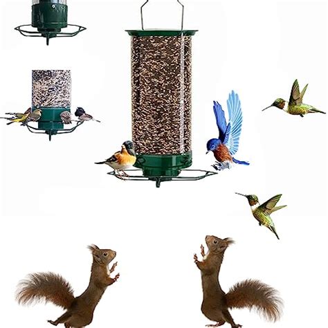 The Best Spinning Bird Feeder For Squirrels I Tested 5 And Found The