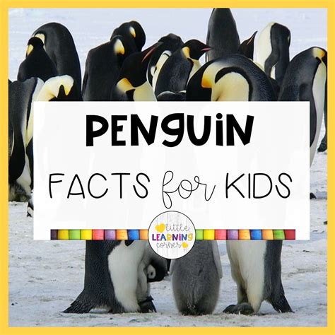 Emperor Penguin Facts For Kids