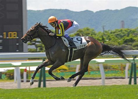 函館5r新馬戦で5馬身差をつけてレコード勝ちした武豊騎乗のモンファボリ（撮影・千葉 茂） ― スポニチ Sponichi Annex ギャンブル