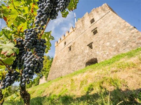 Tenuta Castello Di Morcote Vico Morcote Cosa Fare In Ticino