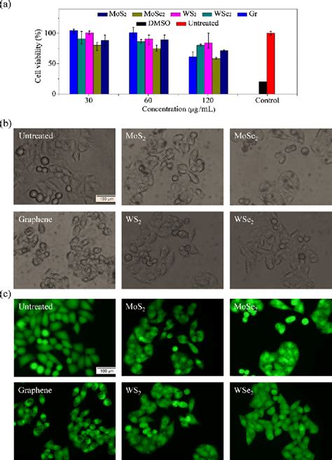 A Cell Viability Of Hela Cells As Measured With Cck 8 Assay