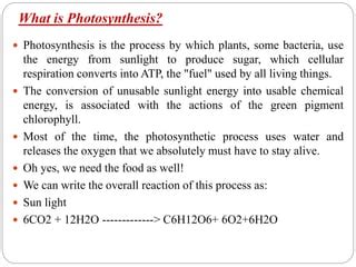 PRIMARY EVENTS IN Photosynthesis | PPT