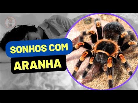 Sonhar Aranha Significados R Pidos E Diretos Veja Youtube