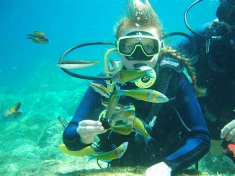 Fethiye Diving Tour Fethiye Tours Turista Travel Turkey Tours