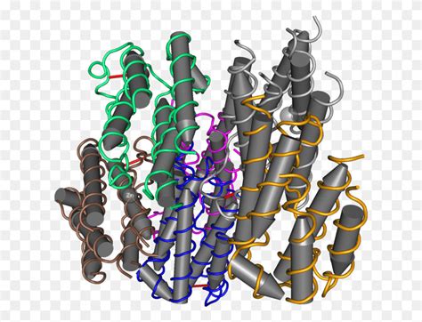 Recombinant Human Interferon Alpha 2b 01 Interferon Alpha, Graphics ...