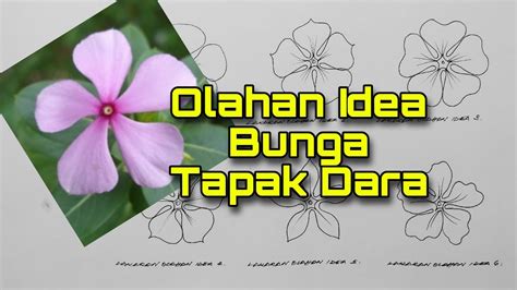 Lakaran Olahan Idea Bunga Tapak Dara Youtube