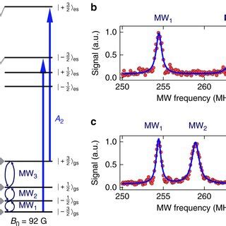 Optical transitions of the silicon vacancy in 4H-SiC. a Crystalline ... 