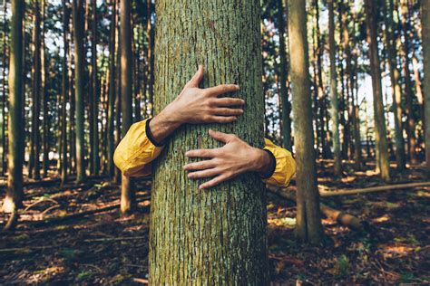 Abbracciare Gli Alberi Perch Fa Molto Bene Alla Salute