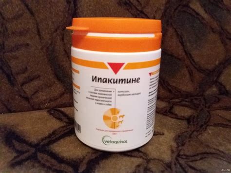 Ипакитине для кошек: инструкция и показания к применению, отзывы, цена