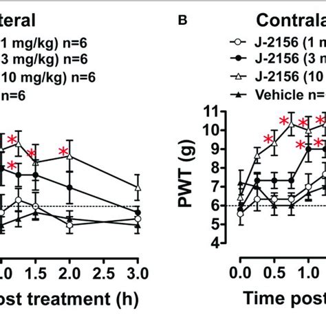 Anti Allodynic Effect Of Single Bolus Doses I P Of J 2156 On Download Scientific Diagram