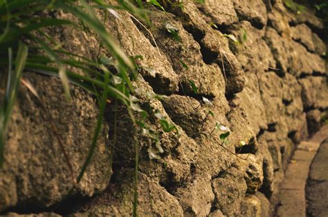 Pared Piedras Modelo Foto Gratis En Pixabay Pixabay