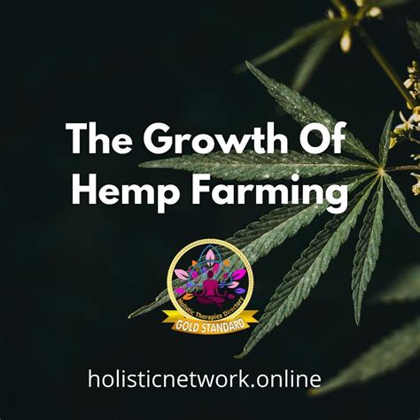 Growth of hemp farming and why it deserves its attention