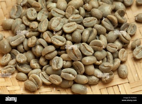 Unroasted Coffee Bean Hi Res Stock Photography And Images Alamy