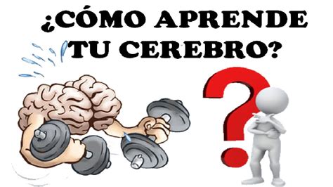 CÓMO APRENDE TU CEREBRO YouTube