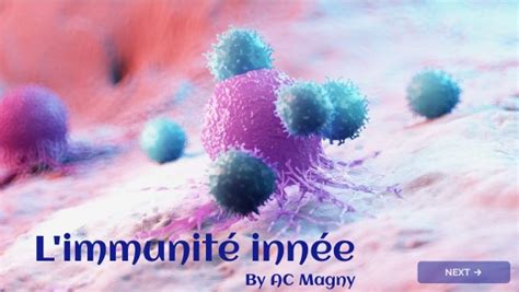 Immunit Inn E