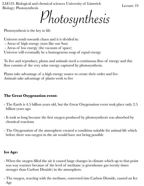 Solution Photosynthesis Studypool