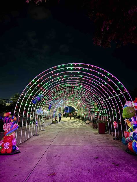 San Antonio Zoo Lights 2023 - Tickets, Discounts & More