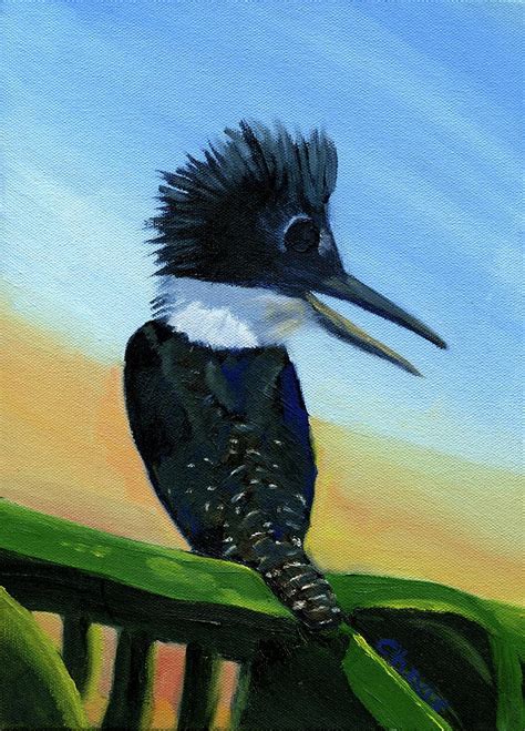 Belted Kingfisher Painting By Sylvia Riggs Fine Art America